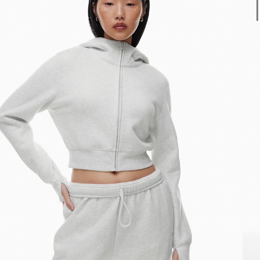 Aritzia Perfect Shrunken Hoodie - NWT
